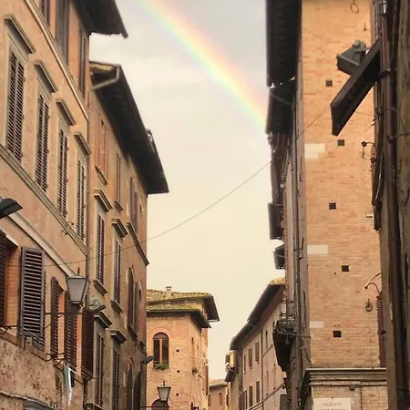 Salicotto 56 *